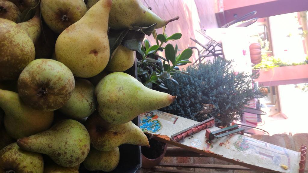 פוטנלאטו Agriturismo La Fattoria Del Boschetto מראה חיצוני תמונה